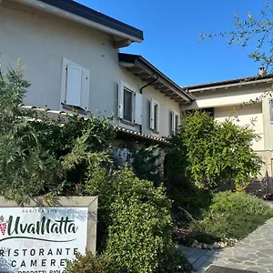 https://uvamatta.emilia-romagnahotels.net